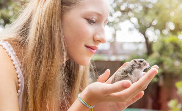 Learn with an Animal Care Course