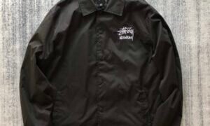 Stüssy Australia: The Rise of Unique Brand Stores and Fashion
