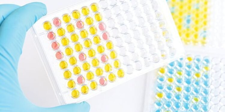 ELISA Assay Development