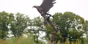 bronze eagle statue