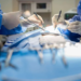 vascular specialists near me