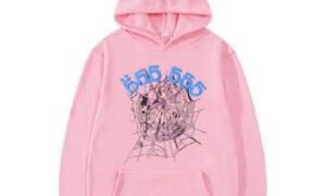 Quality Meets Streetwear: Pink Sp5der Hoodie