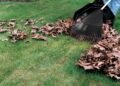 Garden waste