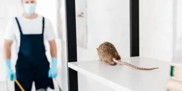 Pest Control