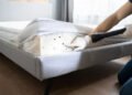 Bedbug Control