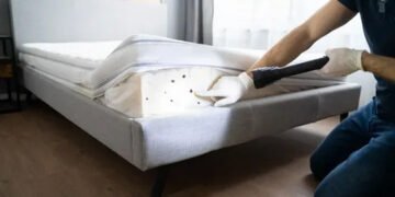 Bedbug Control
