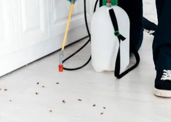 Cockroach Control Services