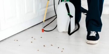 Cockroach Control Services