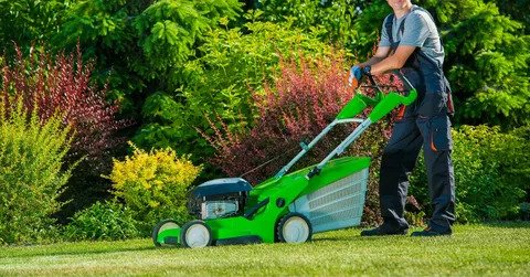Yard Care Services