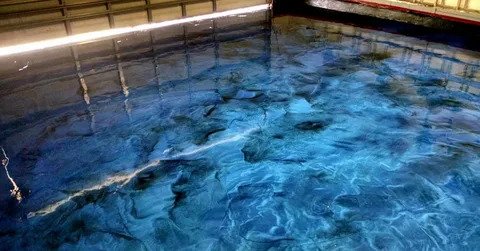Floor Coating