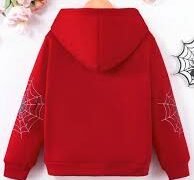 Spider Hoodie