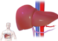 liver treatment in delhi