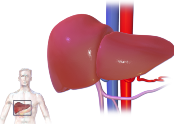 liver treatment in delhi