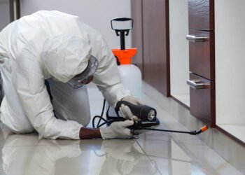 Termite Control