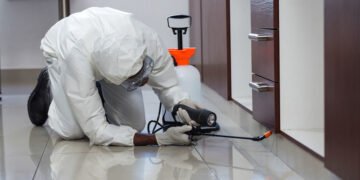 Termite Control