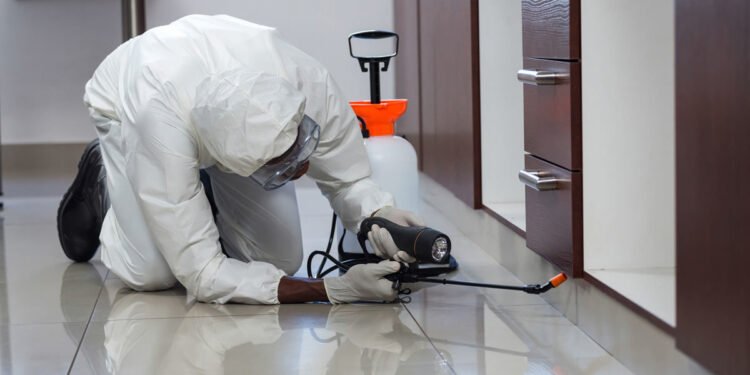 Termite Control