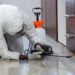 Termite Control