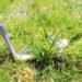 Weed Control