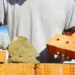 brick pointing services
