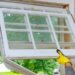New Doors & Windows