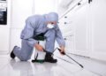 Pest Control