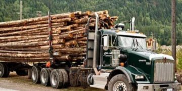 Wood and Metal Hauling
