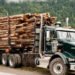 Wood and Metal Hauling