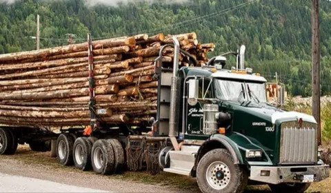 Wood and Metal Hauling