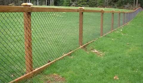 Fence Line Cleanup