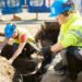 digging services