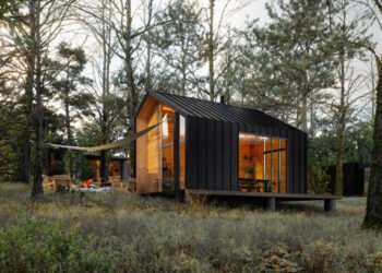 Modern Tiny House In Woodland