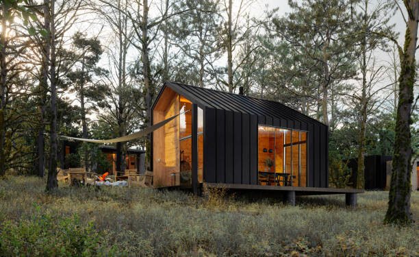 Modern Tiny House In Woodland